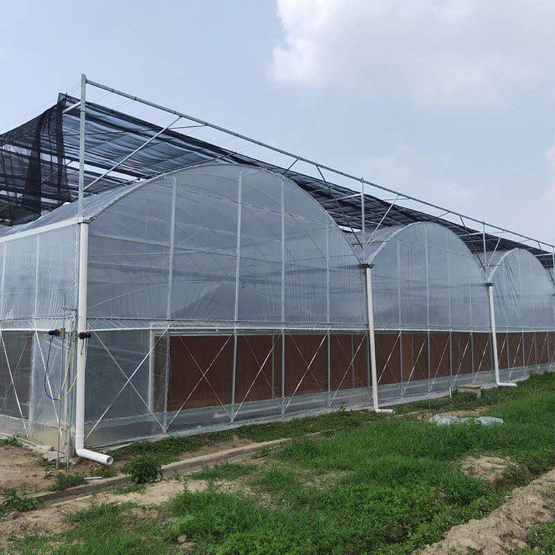 臨邑溫室工程